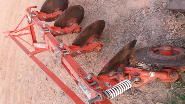 หาง4ตราช้างสวยๆ