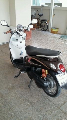 ขาย ฟีโน่ สวยๆ ถูก