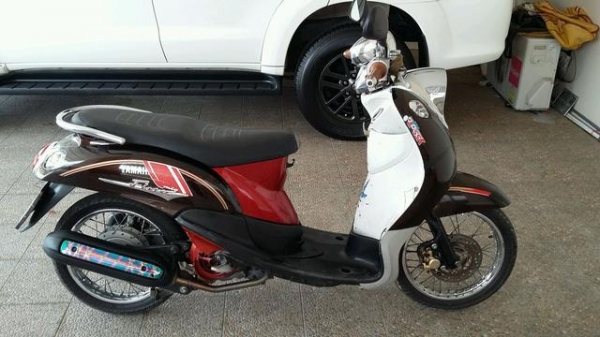 ขาย ฟีโน่ สวยๆ ถูก