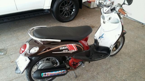 ขาย ฟีโน่ สวยๆ ถูก