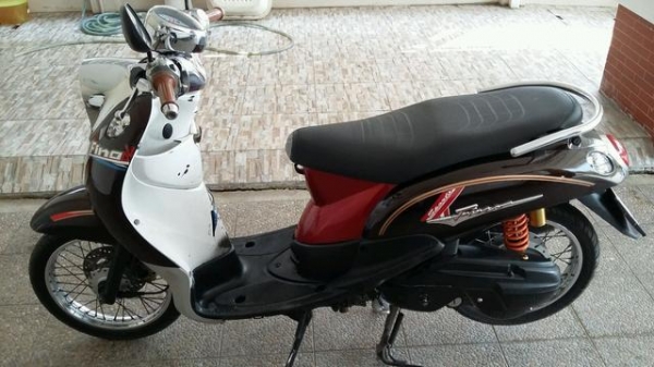 ขาย ฟีโน่ สวยๆ ถูก