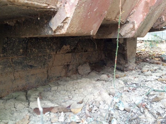 ขายเหมากระบะท้องเรือ 8 ใบ ใบละ70000 เหมา 8 ใบ 500000