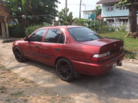 ขายแล้ว ขายแล้ว