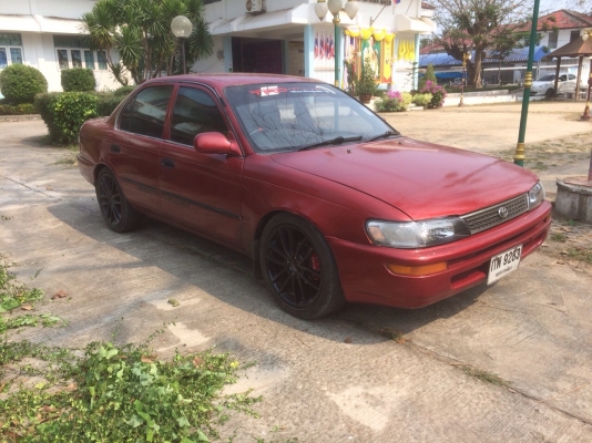 ขายแล้ว ขายแล้ว