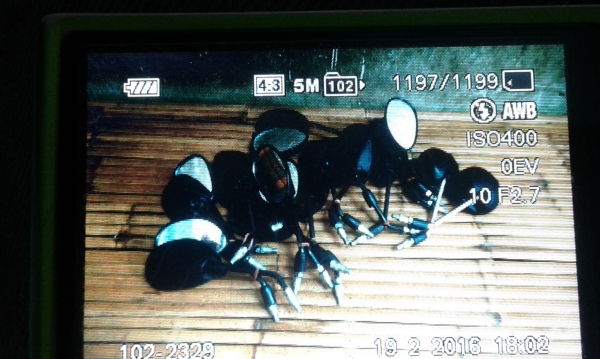 กระจกมองข้างมอไซด์เวฟมือสองเกรดเอคู่ละ160.-