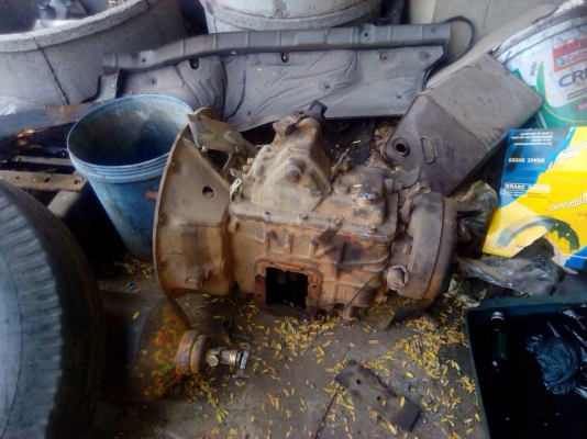 เกียร์ร็อกเสื้อลายสภาพพ้อมใช้งน เกียร์ร็อกเสื้อลายสภาพพ้อมใช้งน