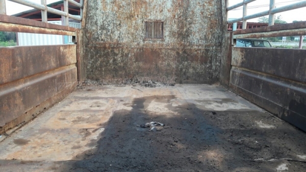 รถบรรทุก 6 ล้อดัมพ์ ISUZU เครื่อง  6 BD1 160 แรงม้า รุ่น SFR11F