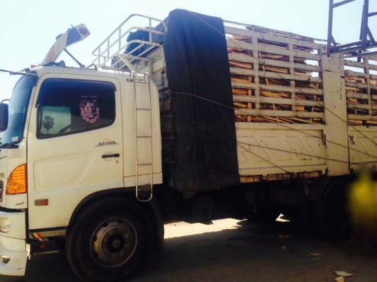 รถฮีโน่ 10 ล้อ รั้ว ( ไม่ดั้ม )  FM1J  260 แรงม้า. ปี 48  ( ขาย แม่ , ลูก. )     สนใจติดต่อ  081 - 6079515