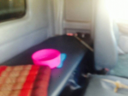 รถฮีโน่ 10 ล้อ รั้ว ( ไม่ดั้ม )  FM1J  260 แรงม้า. ปี 48  ( ขาย แม่ , ลูก. )     สนใจติดต่อ  081 - 6079515