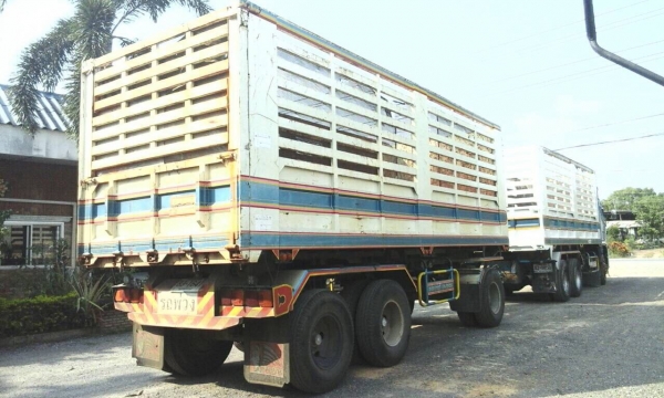 Hino344 siri500 Hino344 siri500