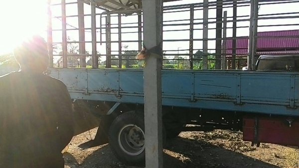 / 6ล้อบรรทุก ISUZU NKR-110 ห้างแท้ ปี32 เครื่อง/เกียร์ เดิม เกียร์สั้นสาย ช่วงล่างเดิม คัสซีพอใช้ต้องเก็บ กระบะพื้นไม้คอกเหล็ก4.30ม.ยาง8.25/16 บอดี้เดิม ตามสภาพ เล่ม ครบ **ขาย ISUZU NKR-110 ห้างแท้ 6ล้อบรรทุก สภาพดี ราคาเบาๆ ISUZU NKR / 6ล้อบรรทุก ISUZU NKR-110 ห้างแท้ ปี32 เครื่อง/เกียร์ เดิม เกียร์สั้นสาย ช่วงล่างเดิม คัสซีพอใช้ต้องเก็บ กระบะพื้นไม้คอกเหล็ก4.30ม.ยาง8.25/16 บอดี้เดิม ตามสภาพ เล่ม ครบ **ขาย ISUZU NKR-110 ห้างแท้ 6ล้อบรรทุก สภาพดี ราคาเบาๆ ISUZU NKR