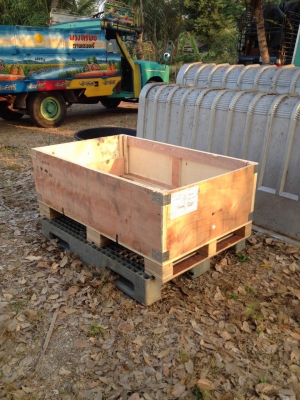 ขาลลังครับ ขาลลังครับ