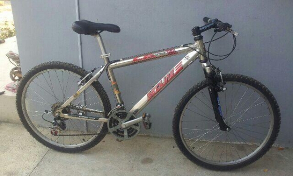 เสือภูเขาอลูมีเนียม