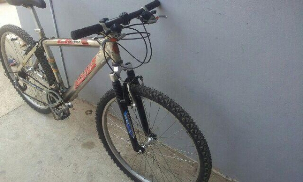 เสือภูเขาอลูมีเนียม