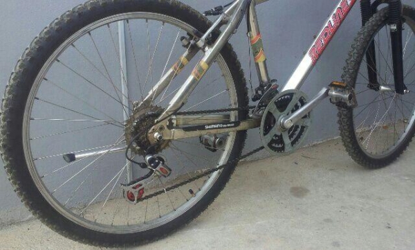 เสือภูเขาอลูมีเนียม