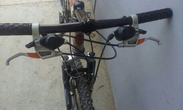 เสือภูเขาอลูมีเนียม