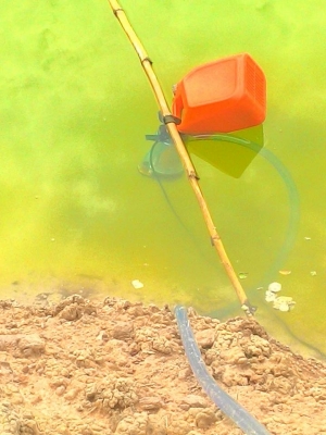 ปั้มสูบน้ำ12v.แบบจุ่มแช่ สูบเร็วมาก เก็บเงินปลายทางได้ มีคลิป ปั้มสูบน้ำ12v.แบบจุ่มแช่ สูบเร็วมาก เก็บเงินปลายทางได้ มีคลิป