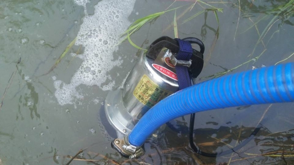 ปั้มสูบน้ำ12v.แบบจุ่มแช่ สูบเร็วมาก เก็บเงินปลายทางได้ มีคลิป ปั้มสูบน้ำ12v.แบบจุ่มแช่ สูบเร็วมาก เก็บเงินปลายทางได้ มีคลิป