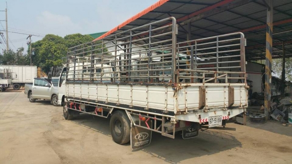 ขายรถ 6ล้อISUZU NQR โฉมปีศาจ คอกยาว 5.50เมตร ปี06