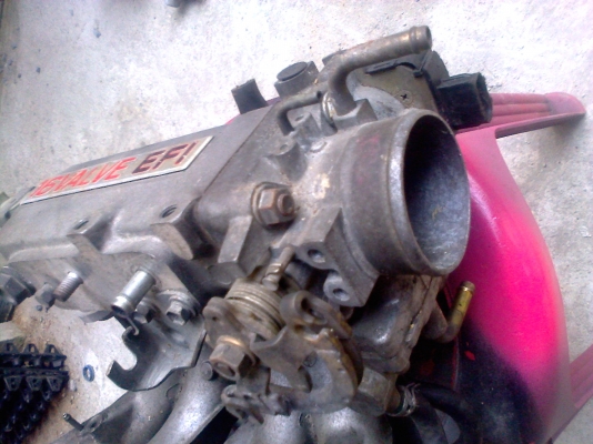 ปีกผีเสื้อ คอไอดี5efhe