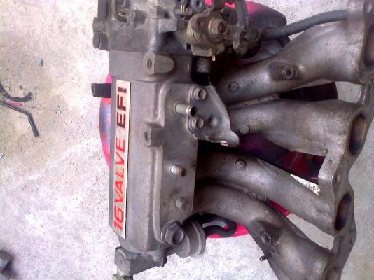 ปีกผีเสื้อ คอไอดี5efhe