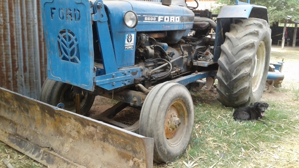 ขายตามสภาพรถไถฟอดร์6600พร้อมใช้งาน