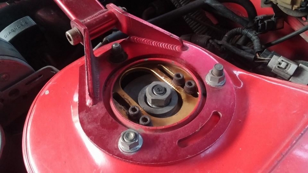 Cefiro A31 แรงๆ Cefiro A31 แรงๆ