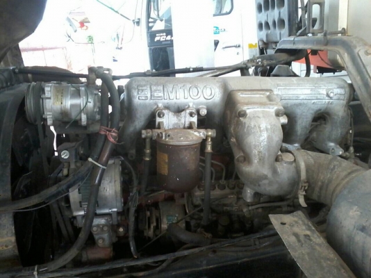 ขาย227ดั้มสองเพลา แม่ลูกแม่ดั้ม ลูกไม่ดั้มราคา970000บ ขาย สด ผ่อน