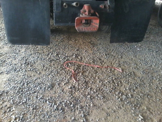 ขาย227ดั้มสองเพลา แม่ลูกแม่ดั้ม ลูกไม่ดั้มราคา970000บ ขาย สด ผ่อน