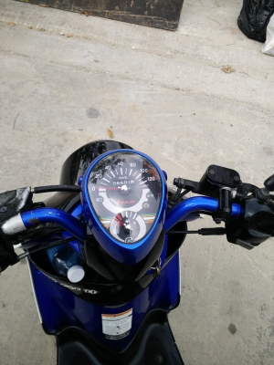 ขายฟีโน่