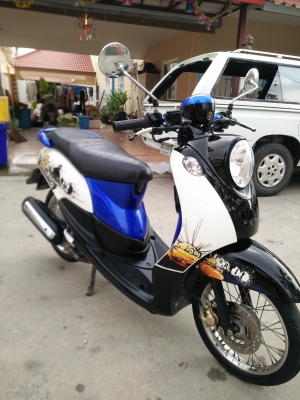 ขายฟีโน่