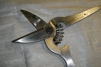 ขายกรรไกรเยอรมัน HAGO GERMAN.