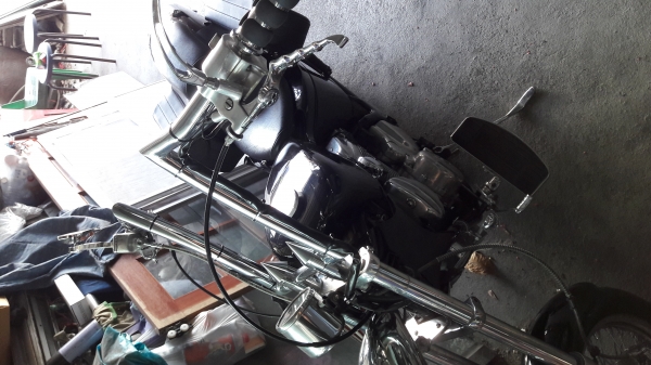 ขาย steed 600cc ทะเบียนแท้