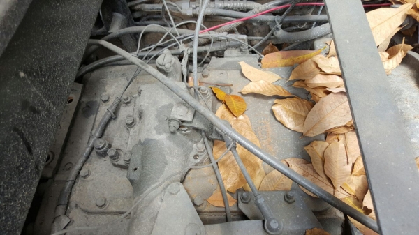 รถอีซูซุ 10 ล้อดั้ม FXZ  240 แรงม้า. ปี 39. ( ขาย แม่ , ลูก. )    สนใจติดต่อ  081 - 6079515