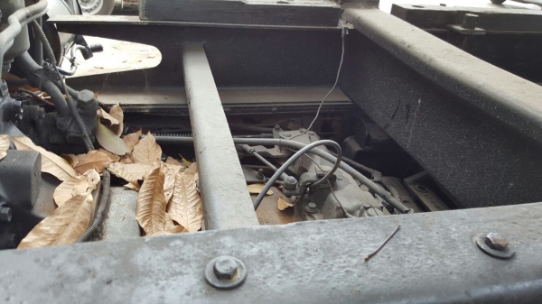 รถอีซูซุ 10 ล้อดั้ม FXZ  240 แรงม้า. ปี 39. ( ขาย แม่ , ลูก. )    สนใจติดต่อ  081 - 6079515