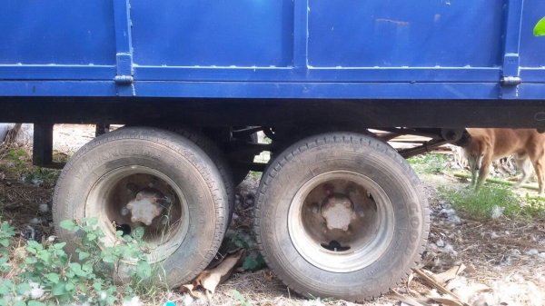 ขายด่วน  เทนเลอร์พ่วนรถไถ 8ล้อ ดั้ม สนใจติดต่อ 0840747874