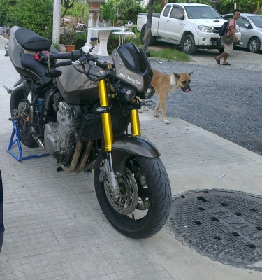 ลูกรัก katana 400