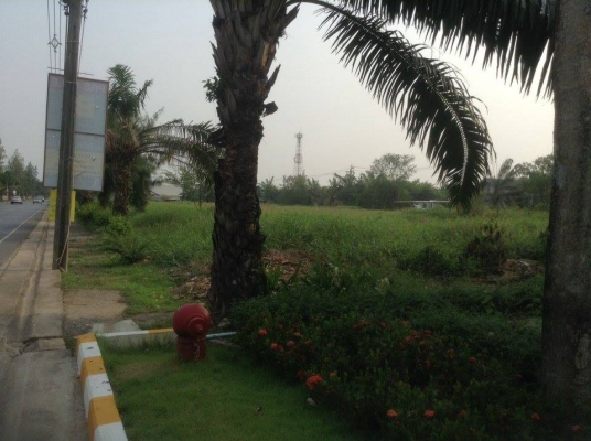 ขายที่ดินเปล่า ในซอย นิมิตใหม่ 40 เนื้อที่ 2 งาน 69 ตร.ว.