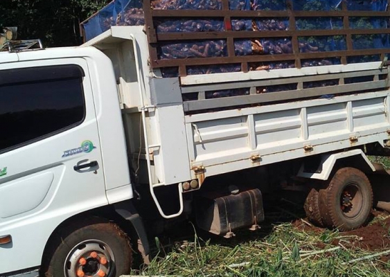 6ล้อดั้มดิน HINO MEGA SERIES-500 FC9J-175 แรง ห้างแท้ ปี55 เครื่อง/เกียร์/ช่วงล่าง เดิมๆ หัวบาง ดั้มเหล็ก4.0ม. ยาง8.25/16 ทิฟฟี่/พาวเวอร์/แอร์ ครบ สวย พร้อมใช้ เล่มครบ **ขาย HINO MEGA ซีรี่ย์ 500 FC9J-175แรง 6ล้อดั้มดิน5คิว รถห้างแท้ 6ล้อดั้มดิน HINO MEGA SERIES-500 FC9J-175 แรง ห้างแท้ ปี55 เครื่อง/เกียร์/ช่วงล่าง เดิมๆ หัวบาง ดั้มเหล็ก4.0ม. ยาง8.25/16 ทิฟฟี่/พาวเวอร์/แอร์ ครบ สวย พร้อมใช้ เล่มครบ **ขาย HINO MEGA ซีรี่ย์ 500 FC9J-175แรง 6ล้อดั้มดิน5คิว รถห้างแท้