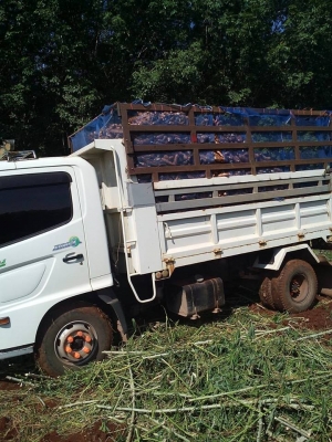 6ล้อดั้มดิน HINO MEGA SERIES-500 FC9J-175 แรง ห้างแท้ ปี55 เครื่อง/เกียร์/ช่วงล่าง เดิมๆ หัวบาง ดั้มเหล็ก4.0ม. ยาง8.25/16 ทิฟฟี่/พาวเวอร์/แอร์ ครบ สวย พร้อมใช้ เล่มครบ **ขาย HINO MEGA ซีรี่ย์ 500 FC9J-175แรง 6ล้อดั้มดิน5คิว รถห้างแท้ 6ล้อดั้มดิน HINO MEGA SERIES-500 FC9J-175 แรง ห้างแท้ ปี55 เครื่อง/เกียร์/ช่วงล่าง เดิมๆ หัวบาง ดั้มเหล็ก4.0ม. ยาง8.25/16 ทิฟฟี่/พาวเวอร์/แอร์ ครบ สวย พร้อมใช้ เล่มครบ **ขาย HINO MEGA ซีรี่ย์ 500 FC9J-175แรง 6ล้อดั้มดิน5คิว รถห้างแท้