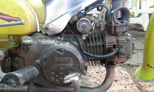 ขาย C70 เครื่องไทเกอร์125 (ไม่ ท.บ. มีใบซื้อขายออกให้จากทางร้าน) ค่าตัว 6500 บาท สนใจทักเเชทหรือโทร.089-8054390 โอ๋ ลพบุรี