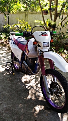 Yamaha TTR250 Raid  @ 29,000 บาท