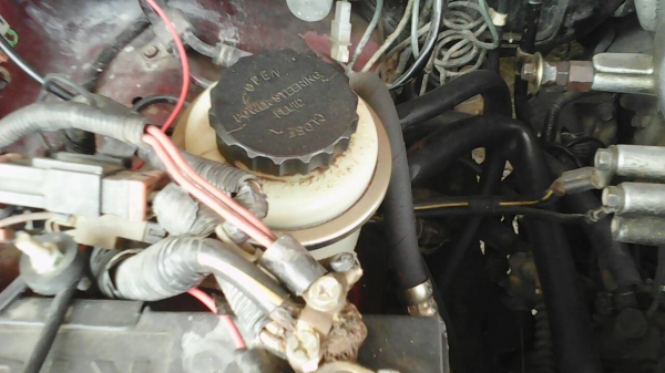 มังกรทอง ยอดประหยัด ถูกจัด ด่วน