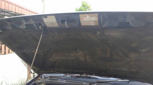 !!!! รถบ้านแท้ อีซูซุ ทีเอฟอา มังกรทองแค๊ป ปี 37 พ.เพาเวอร์ เครื่องดีมากแน่นๆ !!