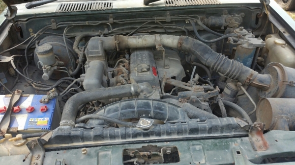 big m หัวเดียว ขับโอน ขาย 41,000 บาท big m หัวเดียว ขับโอน ขาย 41,000 บาท