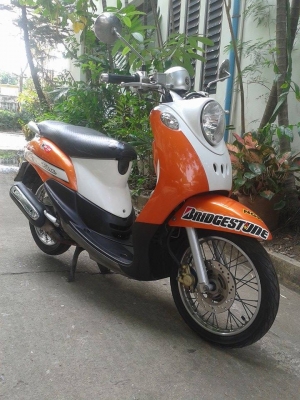 ขายลูกเดียว fino ปี2551 ขายถูกๆ เล่ม ชุดโอนครบครับ ขี่กลับได้เลย ขายลูกเดียว fino ปี2551 ขายถูกๆ เล่ม ชุดโอนครบครับ ขี่กลับได้เลย