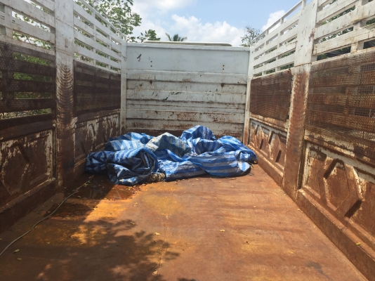 ขายดาวน์..22ล้อแม่ลูกดั้ม..360แรงMP1FXZ777DT001361... ต้นปี2557 ไมล์108681 โล กระบะดั้มคอกสูง บรรทุกขี้ยางแห้ง..