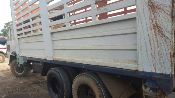 สิบล้อ hino KT925 เครื่อง EH700 ปั้มลม ช่วงล่าง 2 เพลา อีซูซุ 200 จั้มโบ้ สโลกลาง เบรก จิฟฟี่ พวงมาลัยเพาเวอร์ เครื่องดีคันซีสวย ทะเบียนม.79 เล่มเอกสารพร้อมโอน