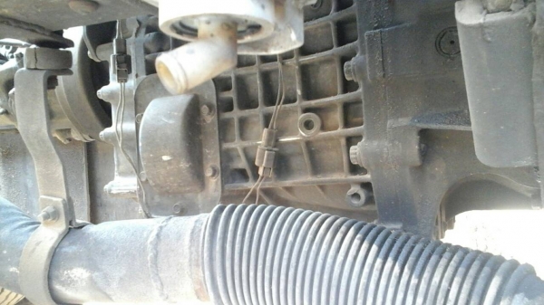 ขายหัวลาก หลงเทอร์โบพร้อมหาง ขายหัวลาก หลงเทอร์โบพร้อมหาง