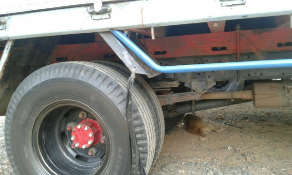 ขายรถ6ล้อ NPR120แรง ฝาขาว เครื่องดี แคชซีสวย ภายในสวย เอกสารพร้อมโอน สนใจโทร 090-8588220คุณนะ 093-3258446คุณบิว หรือเข้าดูสินค้าอื่นๆได้ที่ www.truck.in.th/498 หรือเพจFacebook ณรงค์ ซื้อขายรถมือสอง (เว็บไซต์ส่วนตัว) หรือFacebook คุณนะ รถบรรทุก